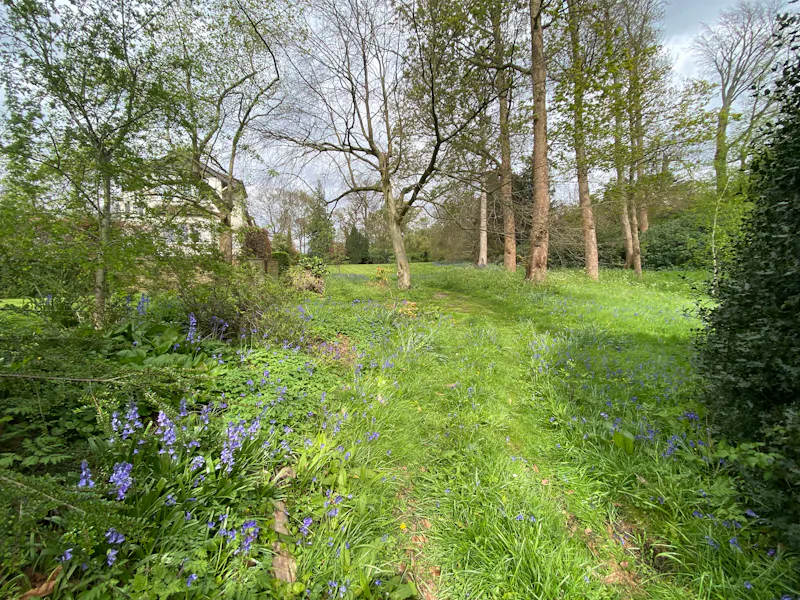 Mill Hill Spanish Villa, D2790 (photo 54)