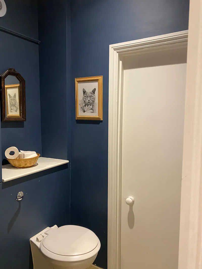 Bathroom at De Beauvoir family townhouse, A1646 (photo 52)