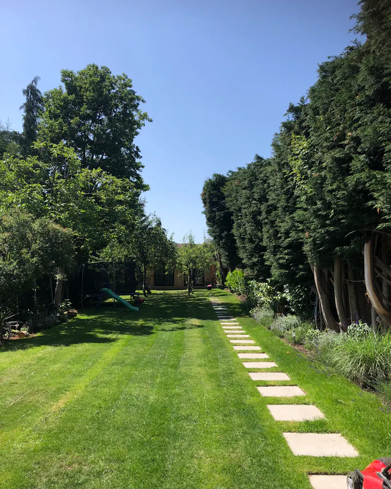 Garden at Suburban Home Chingford, B2066 (photo 41)