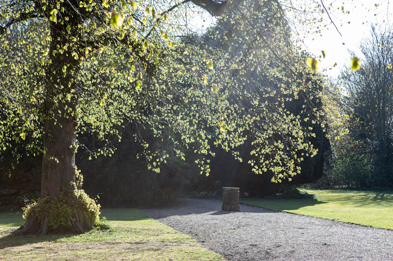 Driveway at Impeccable Yorkshire Manor, A1648 (photo 24)