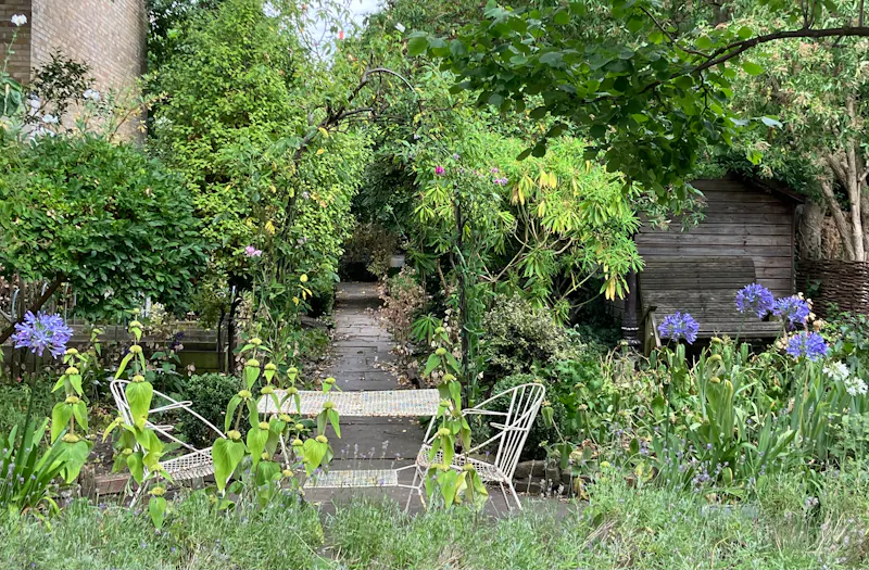 Garden - wild at Stylish period Peckham home, B2070 (photo 30)