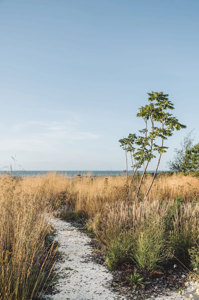 Incredible Whitstable eco-home, K509 (photo 76)