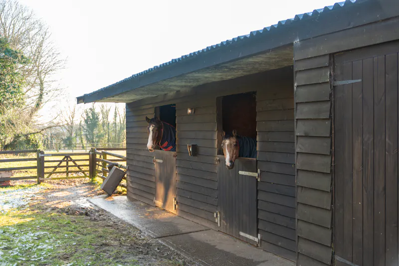 Stable / Outbuildings at Cosy Surrey Cottage, C947 (photo 28)