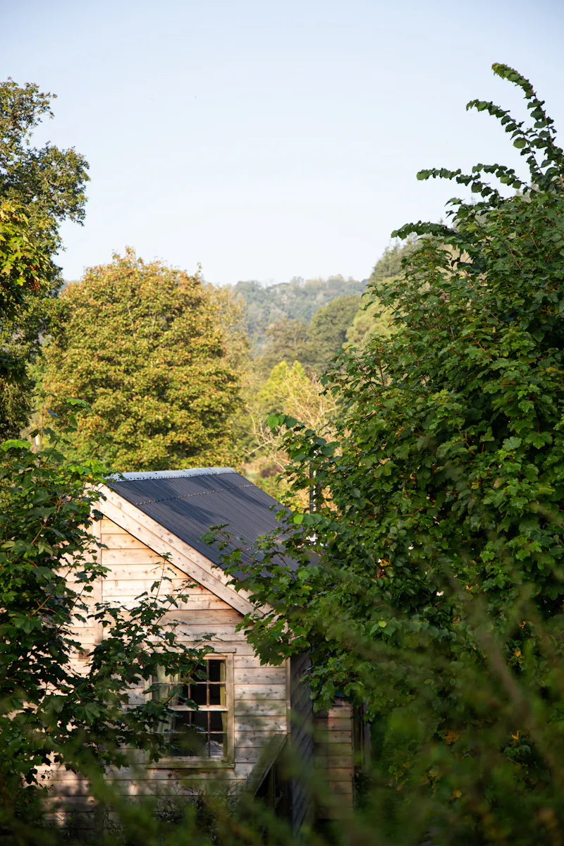 Remote Welsh Cottage and Cabin, C945 (photo 38)
