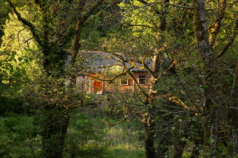 Remote Welsh Cottage and Cabin, C945 (photo 56)
