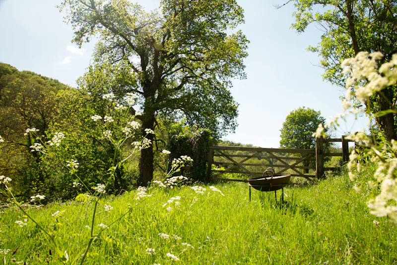 Remote Welsh Cottage and Cabin, C945 (photo 58)