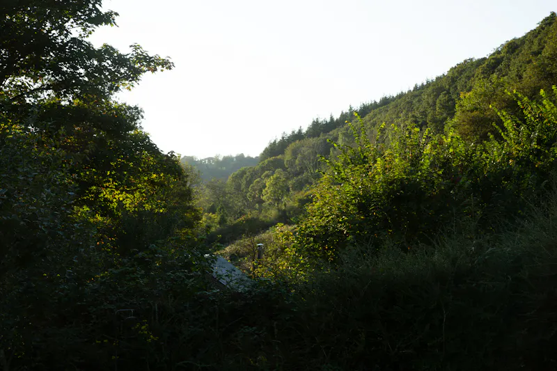Remote Welsh Cottage and Cabin, C945 (photo 59)