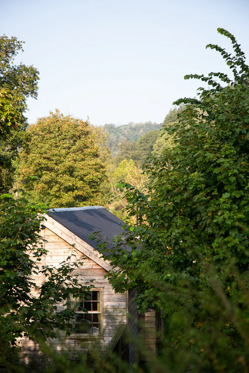 Remote Welsh Cottage and Cabin, C945 (photo 60)