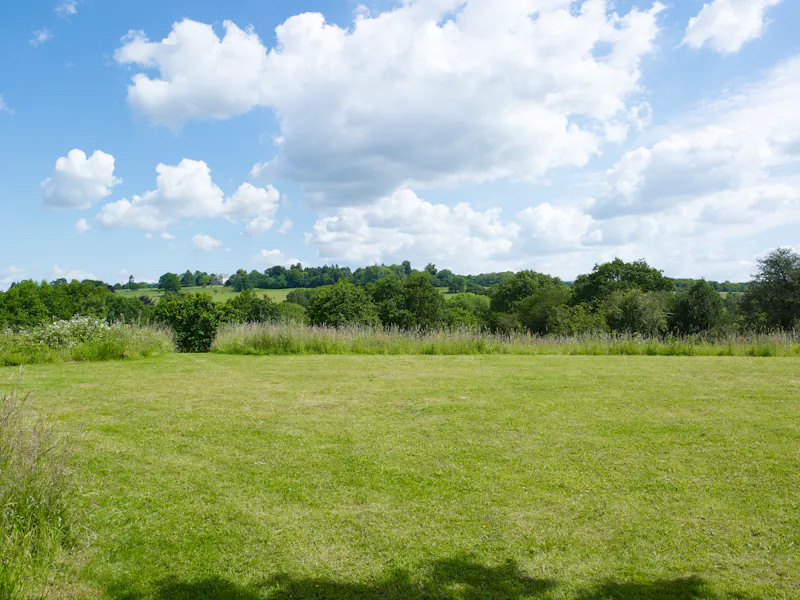 Garden - wild at Stunning modern house Hempstead, D2592 (photo 51)