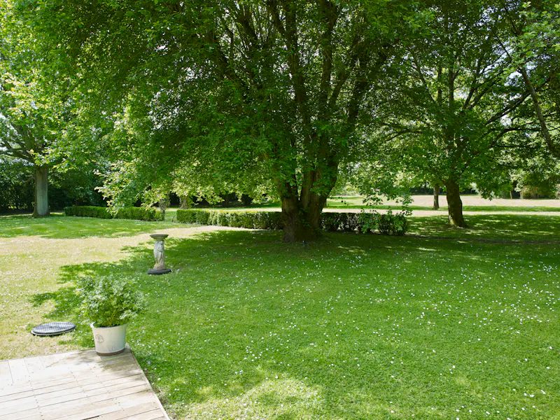Stunning modern house Hempstead, D2592 (photo 83)