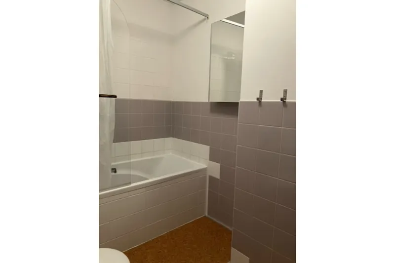Stylish Streatham house, D2356 (photo 70)