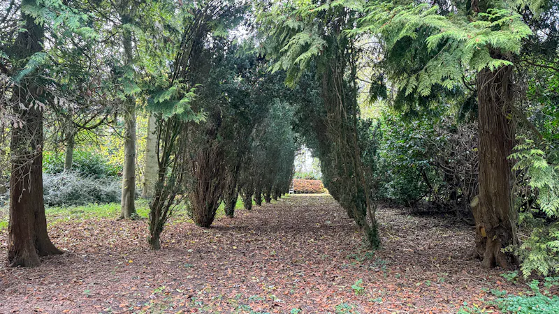 Woodland at Grade II listed Chiltern Manor, A1651 (photo 64)