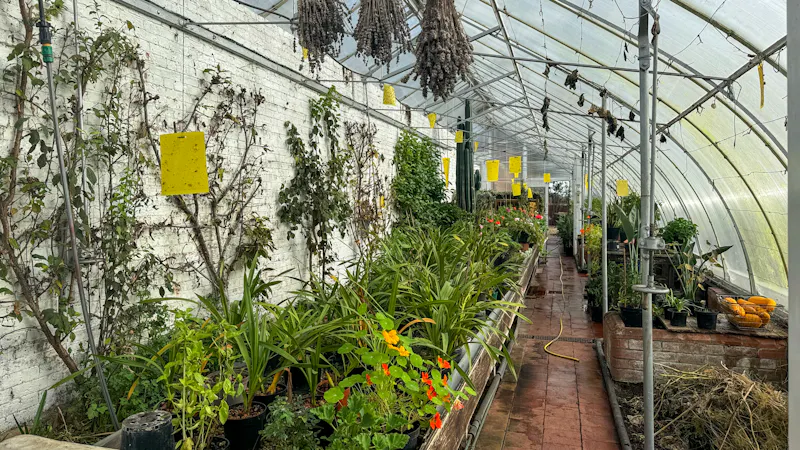 Greenhouse at Grade II listed Chiltern Manor, A1651 (photo 88)