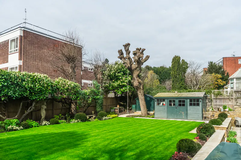 Shed at Light filled Putney Townhouse, A1450 (photo 61)