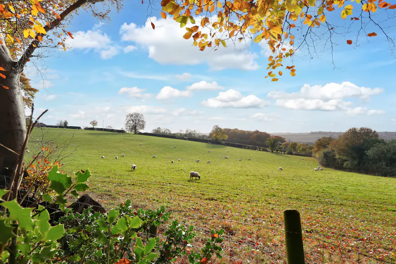 Modern Herts Country Home, D2817 (photo 27)