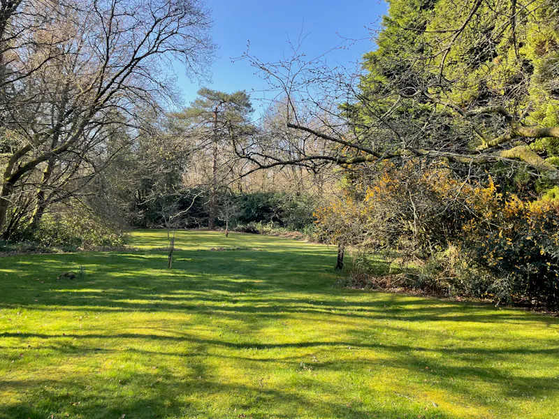 Garden at 1920s Country Home Charleshill , A1654 (photo 27)