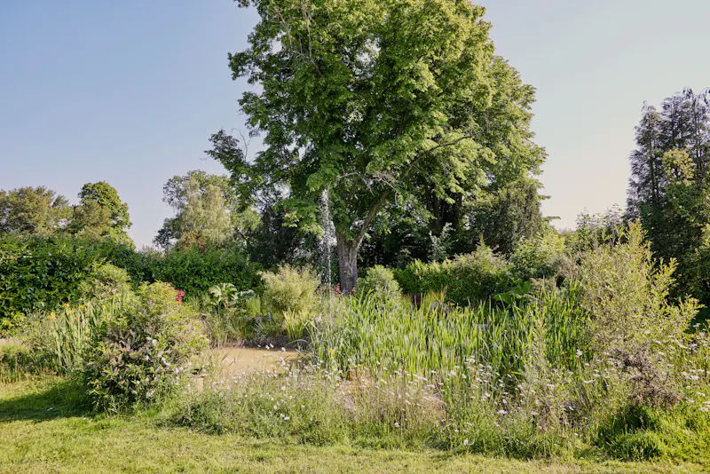 Garden - wild at Stunning Pool House Ockley, D2820 (photo 67)