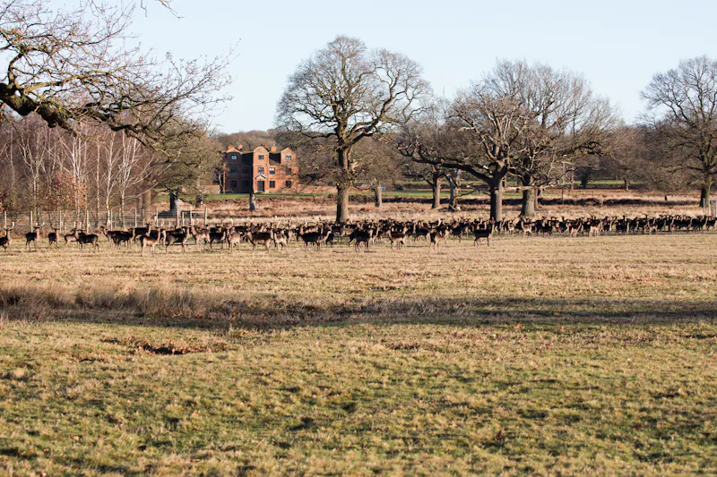 Countryside at Vast Warwickshire Estate, A1655 (photo 18)