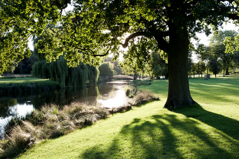 Vast Warwickshire Estate, A1655 (photo 13)