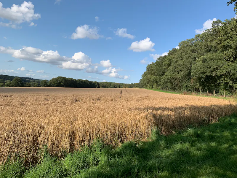 Vast Warwickshire Estate, A1655 (photo 44)