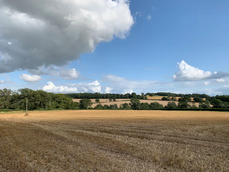 Countryside at Vast Warwickshire Estate, A1655 (photo 45)