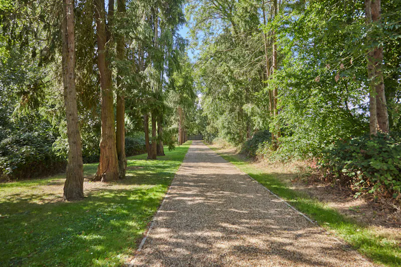 Woodland at Striking Hemel Hempstead house, D2270 (photo 25)