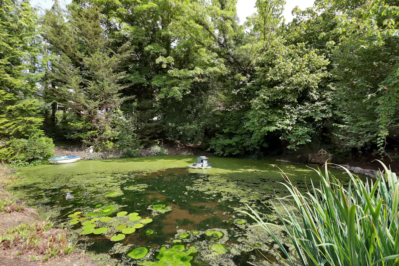 Pond at Stunning Georgian old mill, A1680 (photo 18)