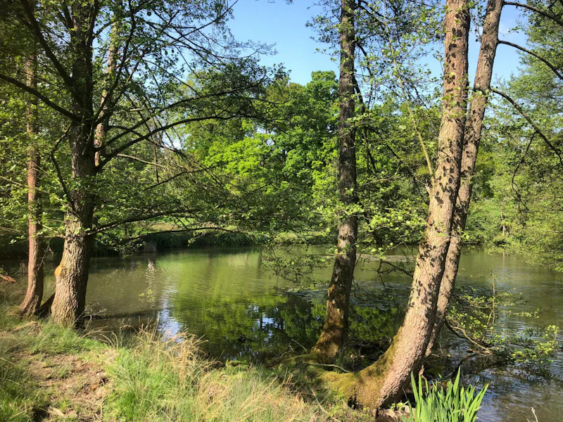 Elizabethan Maidstone manor, M11 (photo 85)