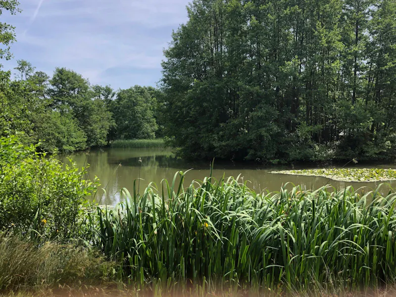 Elizabethan Maidstone manor, M11 (photo 61)
