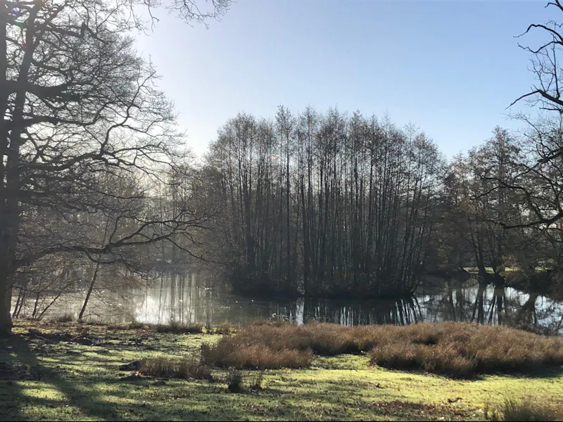 Elizabethan Maidstone manor, M11 (photo 64)