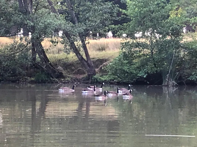 Elizabethan Maidstone manor, M11 (photo 63)
