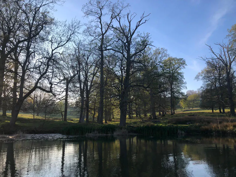 Elizabethan Maidstone manor, M11 (photo 72)