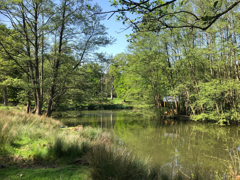 Elizabethan Maidstone manor, M11 (photo 83)