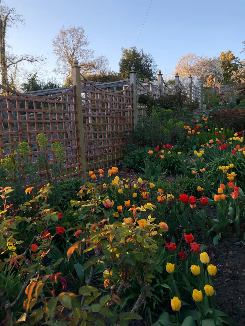 Elizabethan Maidstone manor, M11 (photo 105)