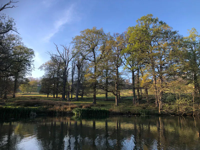 Elizabethan Maidstone manor, M11 (photo 67)