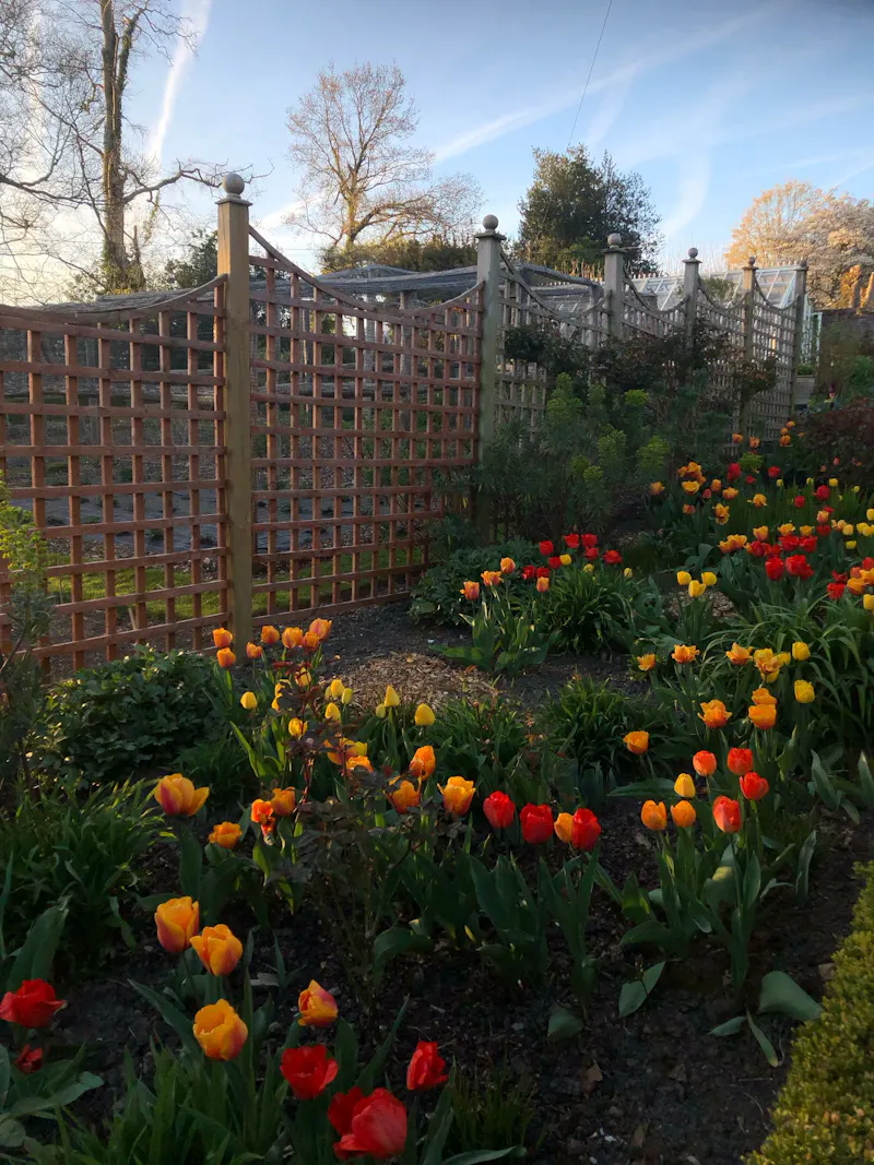Elizabethan Maidstone manor, M11 (photo 106)
