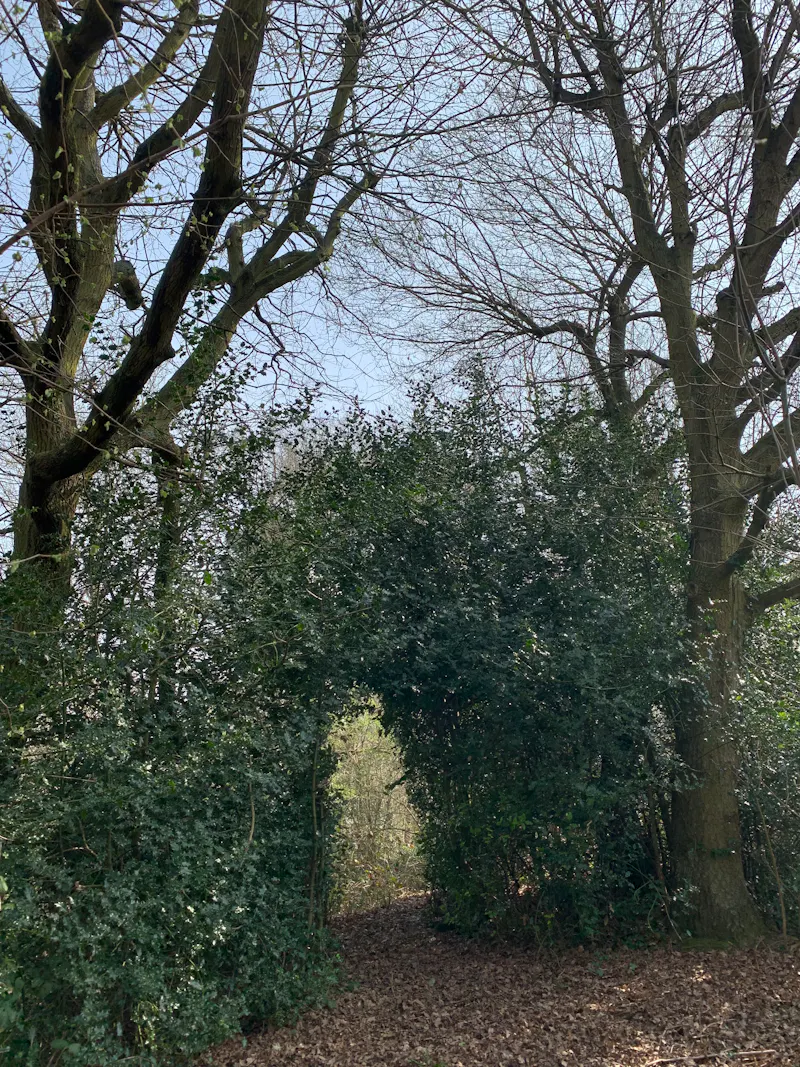 South Oxhey Georgian House, L398 (photo 66)