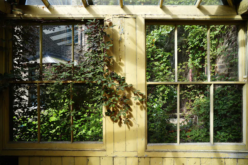 Greenhouse at Spitalfields huguenot townhouse, A596 (photo 33)