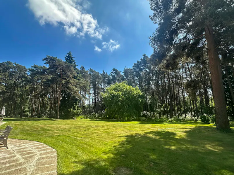 Garden at Wokingham Mid-Century Villa, D2822 (photo 30)