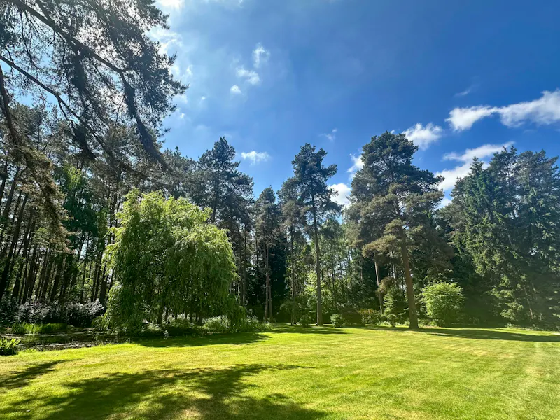 Wokingham Mid-Century Villa, D2822 (photo 31)