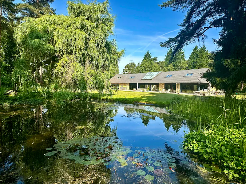 Pond at Wokingham Mid-Century Villa, D2822 (photo 41)