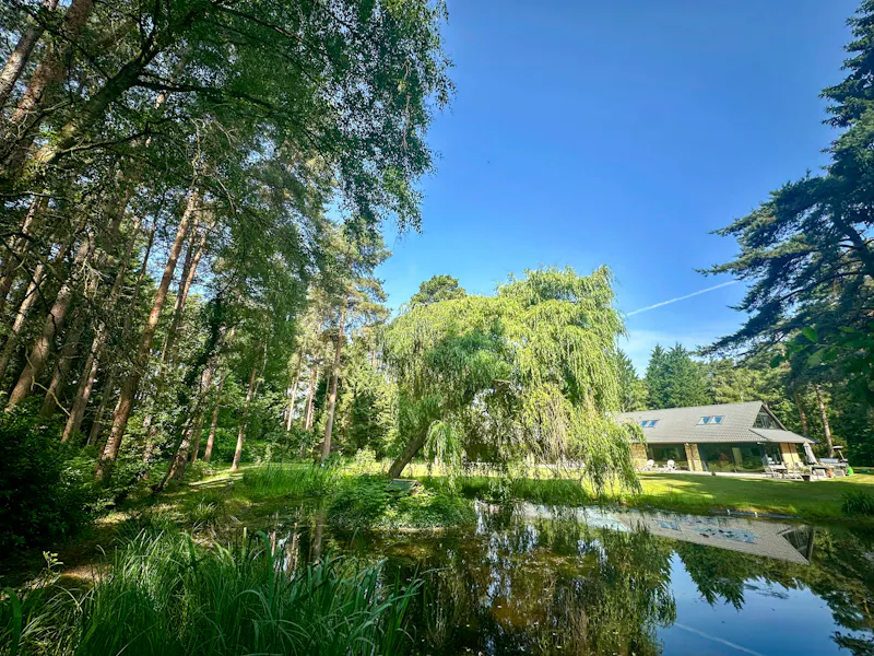 Wokingham Mid-Century Villa, D2822 (photo 39)