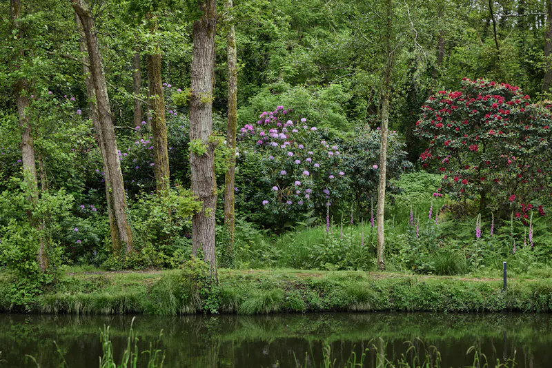 Woodland at Hampshire Lake House, K512 (photo 25)