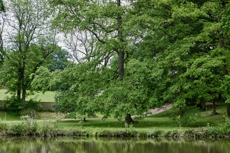 Hampshire Lake House, K512 (photo 27)