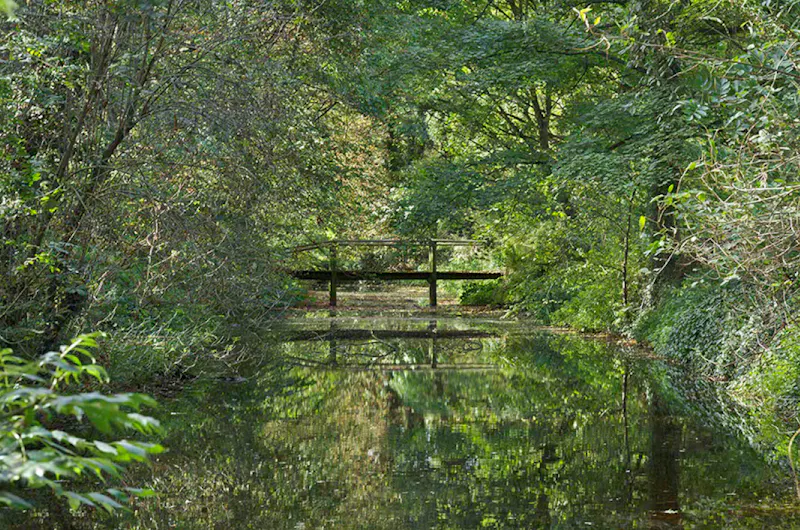 Lake at Elegant Cambridge Manor , A1660 (photo 60)