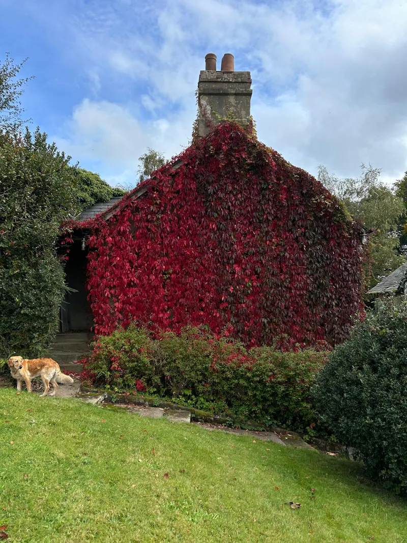 Ellastone Mid-Renno House, B2089 (photo 20)
