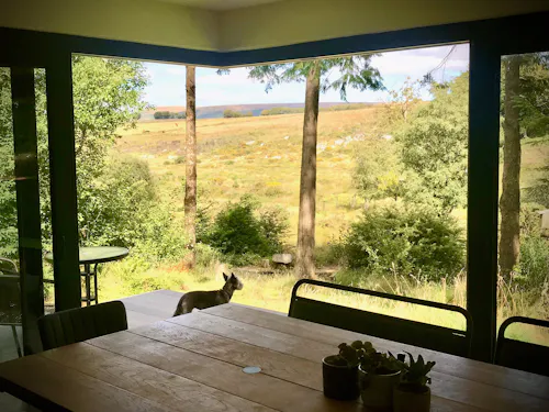Cosy Dartmoor cabin, Q160