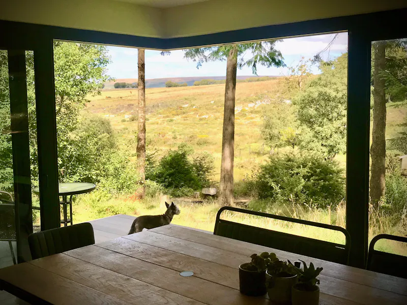 Views - country at Cosy Dartmoor cabin, Q160 (photo 5)