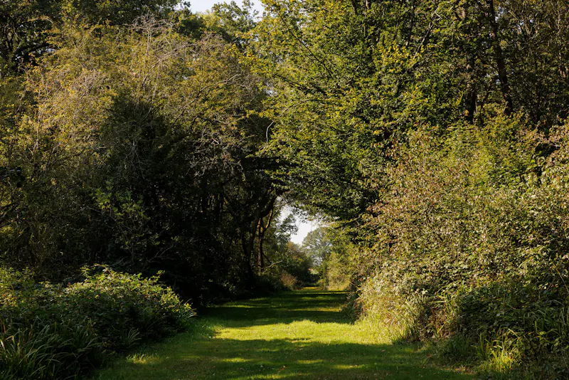 Billingshurst Farm House, L766 (photo 43)