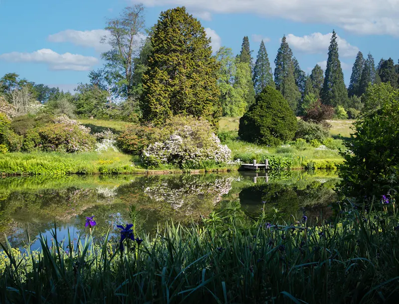 Lake at Midhurst Tudor Manor House, M370 (photo 32)